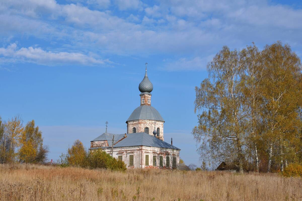 Церковь Успения Пресвятой Богородицы, Бортницы (Родниковский район, Ивановская область). фасады, Вид с юго-запада