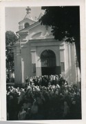 Кобрин. Александра Невского, кафедральный собор
