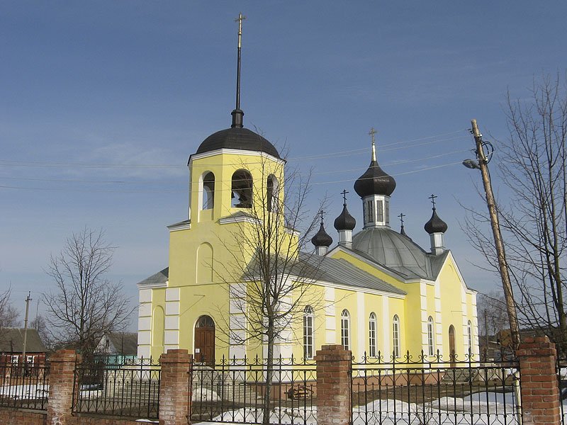 Церковь Александра Невского, Жуковка (Жуковский район, Брянская область). общий вид в ландшафте