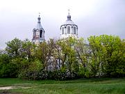 Церковь Вознесения Господня, , Дальняя Полубянка, Острогожский район, Воронежская область