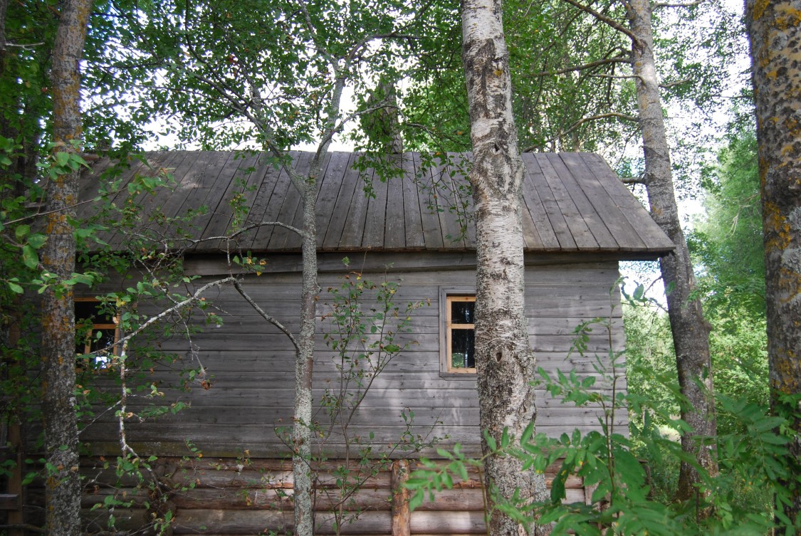 Часовня Диодора Юрьегорского, Тырнаволок, урочище (Плесецкий район, Архангельская область). фасады, Вид с юга