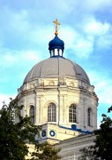 Церковь Николая Чудотворца, , Никольское, Аннинский район, Воронежская область