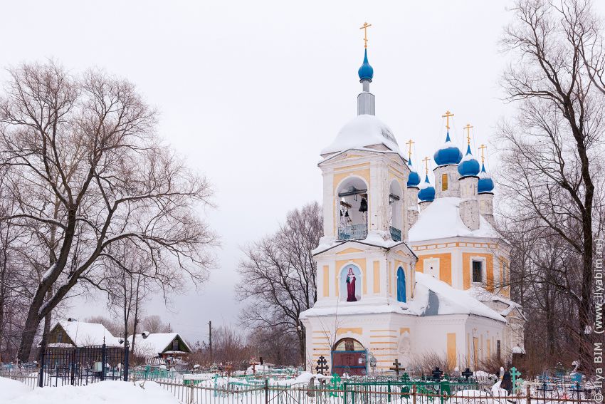 Зарницино (Калово). Церковь Введения во храм Пресвятой Богородицы. общий вид в ландшафте