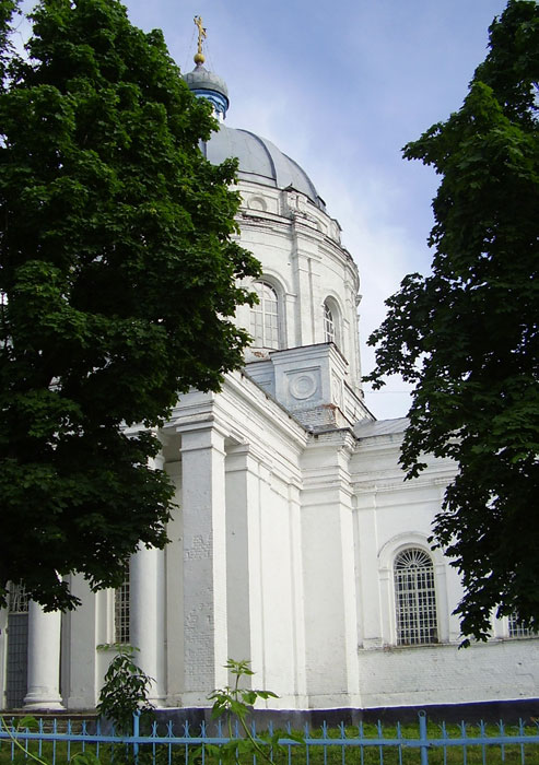 Церковь Николая Чудотворца, Никольское (Аннинский район, Воронежская область). архитектурные детали