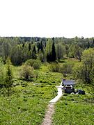 Церковь Алексия, человека Божия, Источник находится скорее с южной стороны.<br>, Игошево, урочище, Тотемский район, Вологодская область