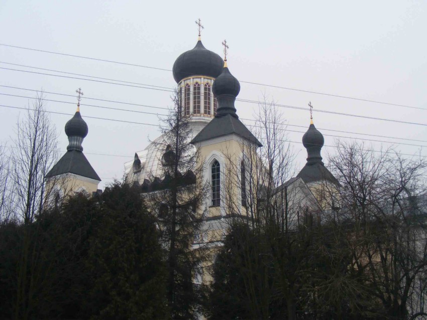 Пинск. Варваринский монастырь. архитектурные детали