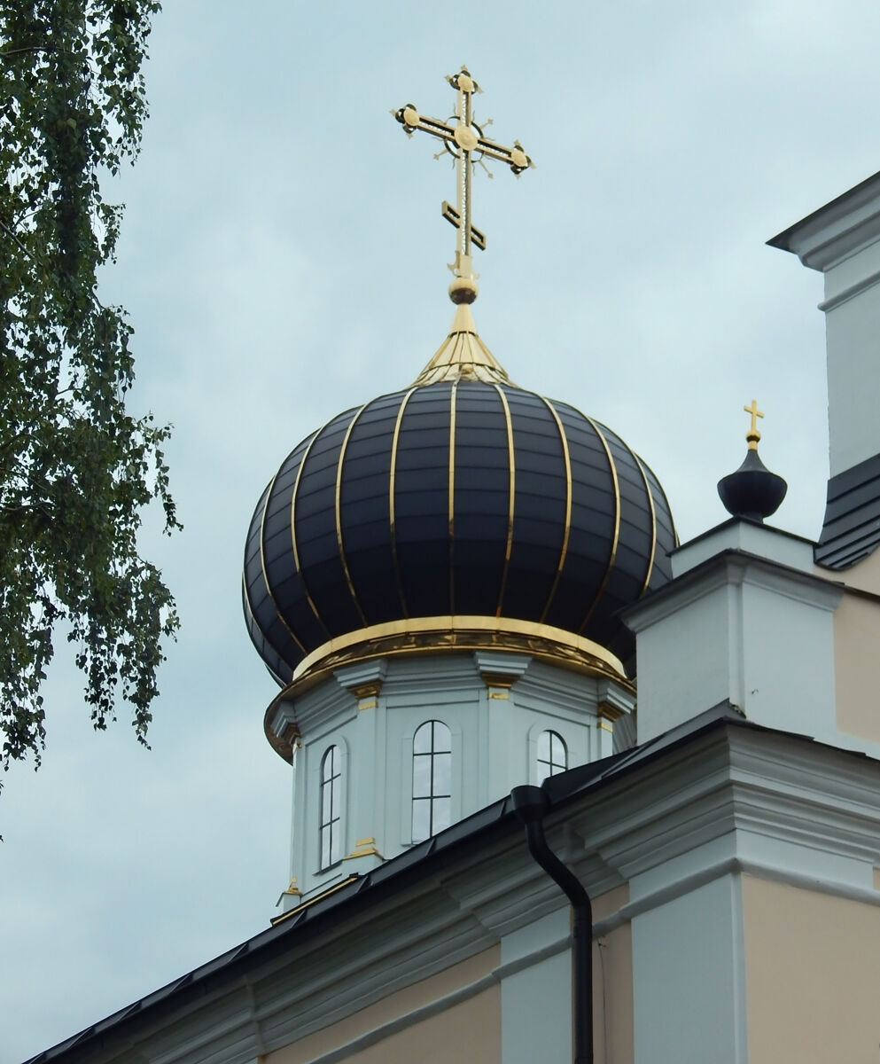 Варвары великомученицы, кафедральный собор, Пинск (Пинский район, Беларусь, Брестская область). архитектурные детали