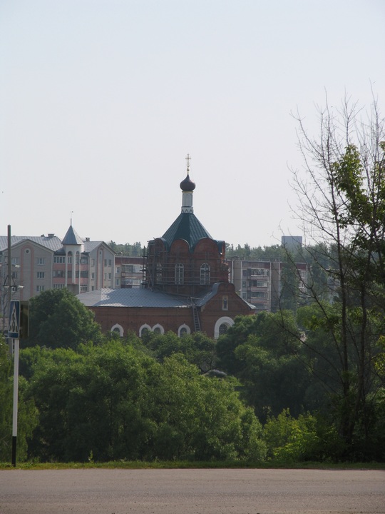 Церковь Иоанна Богослова, Данков (Данковский район, Липецкая область). общий вид в ландшафте