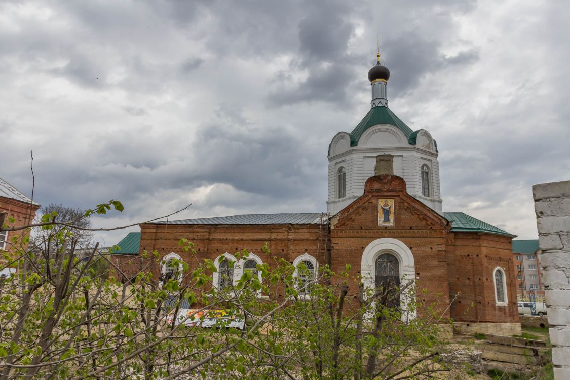 Церковь Иоанна Богослова, Данков (Данковский район, Липецкая область). фасады, Вид с юга