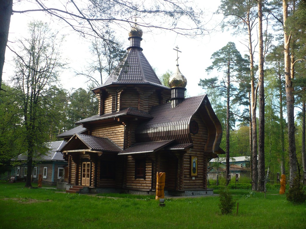 Церковь Алексия царевича, Алексин (Алексинский район и пос. Новогуровский, Тульская область). общий вид в ландшафте