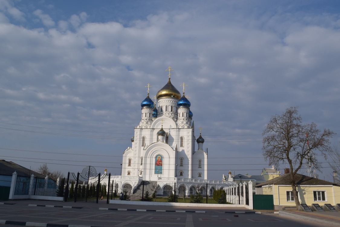 Лиски. Собор Владимирской иконы Божией Матери. общий вид в ландшафте