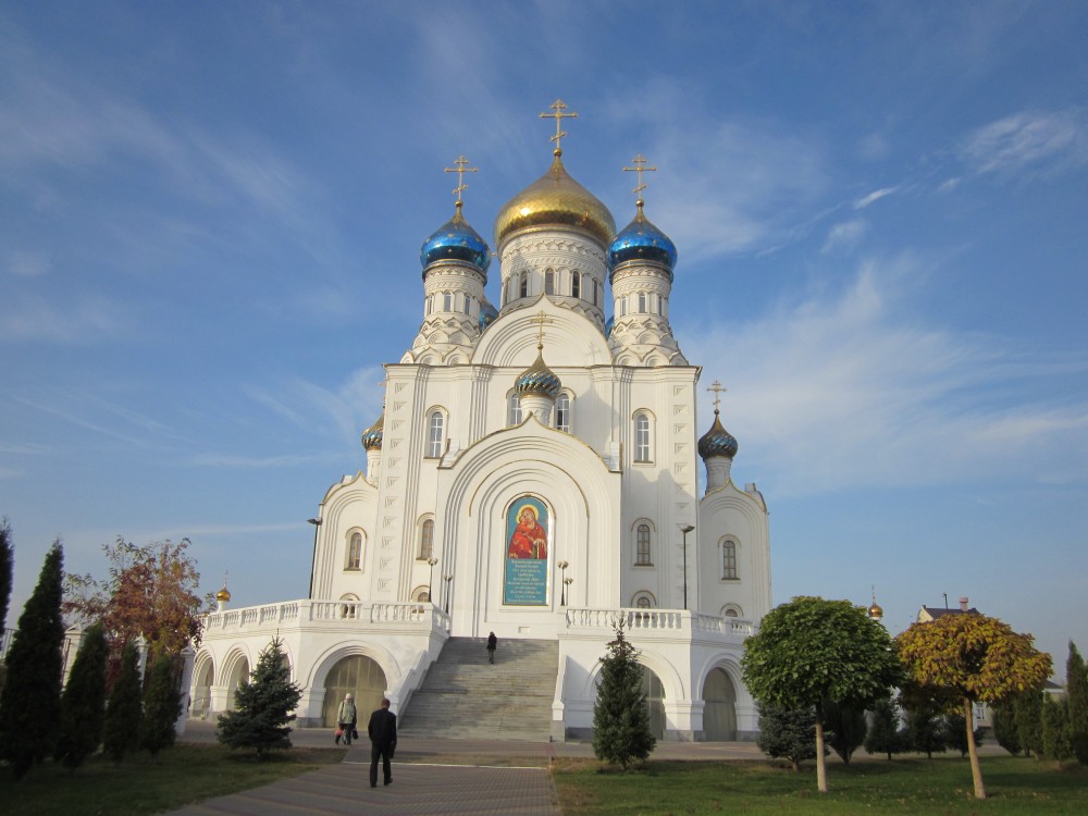 Собор Владимирской иконы Божией Матери, Лиски (Лискинский район, Воронежская область). фасады