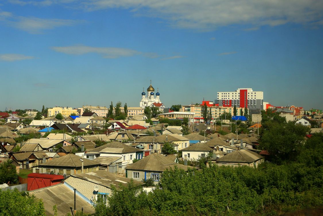 Собор Владимирской иконы Божией Матери, Лиски (Лискинский район, Воронежская область). общий вид в ландшафте