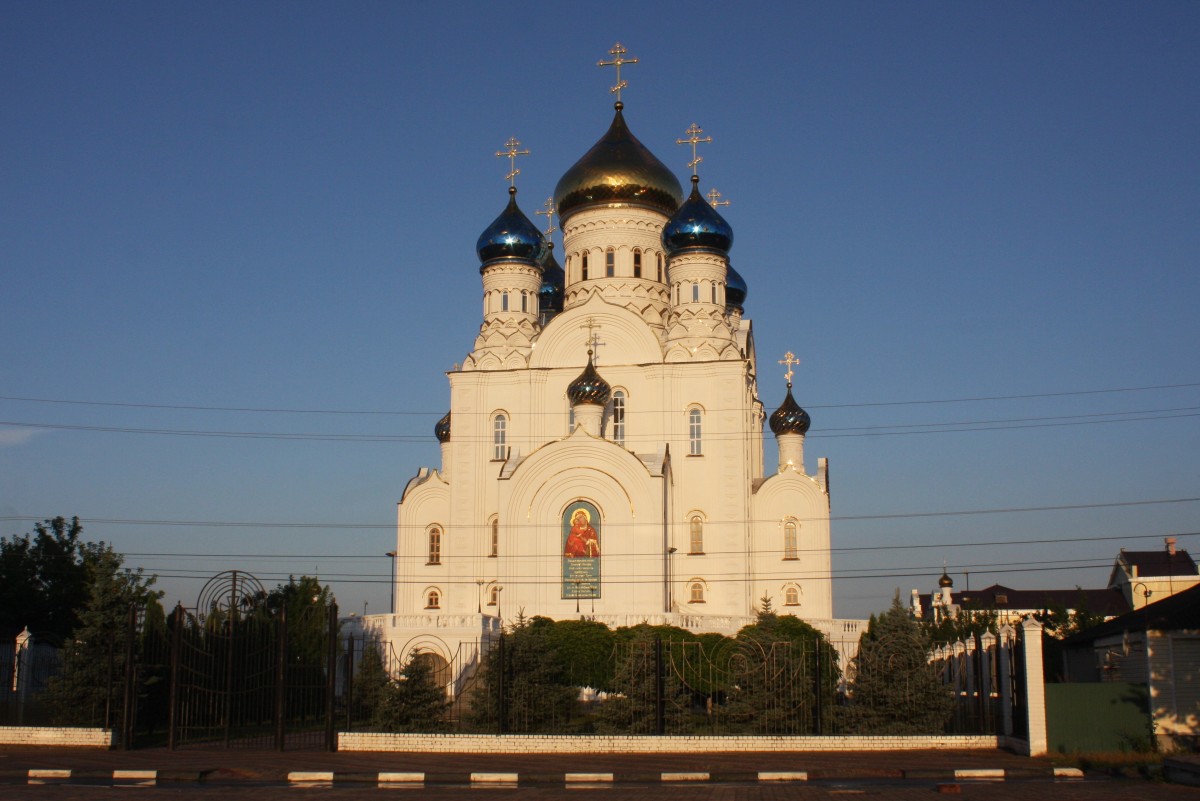 Собор Владимирской иконы Божией Матери, Лиски (Лискинский район, Воронежская область). фасады