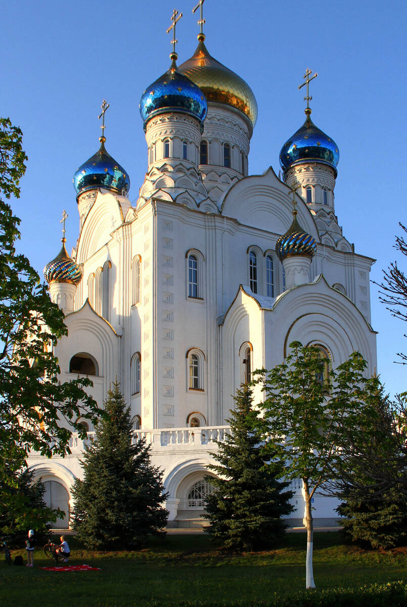 Собор Владимирской иконы Божией Матери, Лиски (Лискинский район, Воронежская область). общий вид в ландшафте
