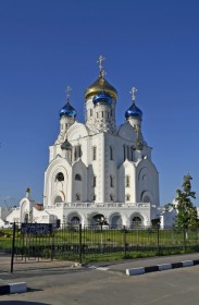 Лиски. Собор Владимирской иконы Божией Матери