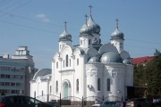 Церковь Рождества Христова - Лиски - Лискинский район - Воронежская область