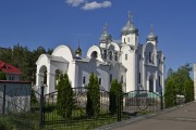 Церковь Рождества Христова, , Лиски, Лискинский район, Воронежская область