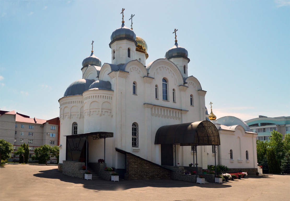 Лиски. Церковь Рождества Христова. фасады