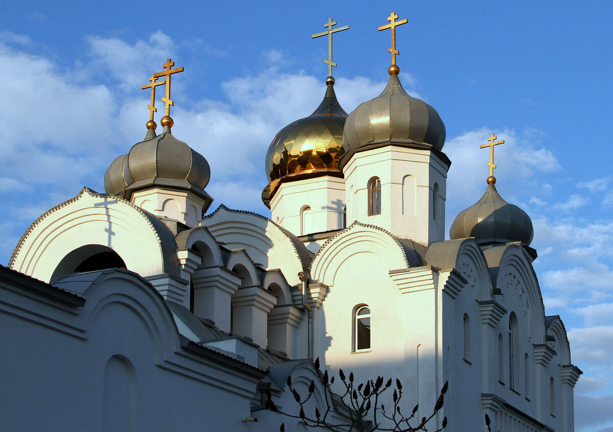 Церковь Рождества Христова, Лиски (Лискинский район, Воронежская область). архитектурные детали