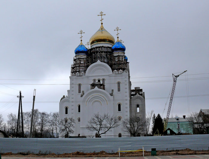 Лиски. Собор Владимирской иконы Божией Матери. общий вид в ландшафте