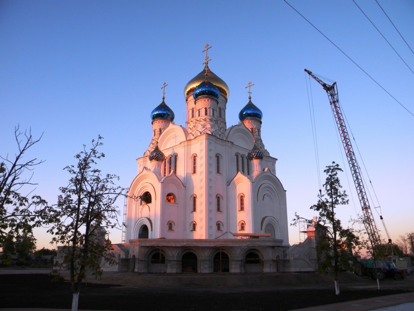Собор Владимирской иконы Божией Матери, Лиски (Лискинский район, Воронежская область). общий вид в ландшафте