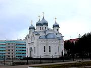 Церковь Рождества Христова - Лиски - Лискинский район - Воронежская область
