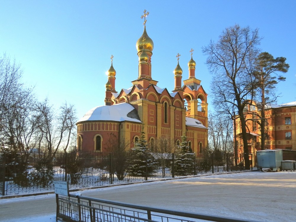 Пушкино. Церковь Троицы Живоначальной. общий вид в ландшафте