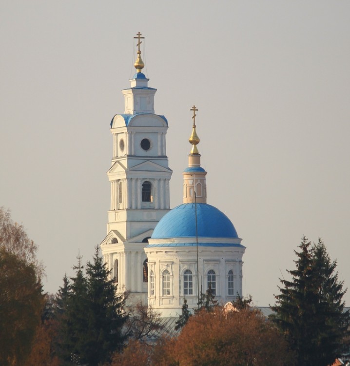 Кафедральный собор Покрова Пресвятой Богородицы, Рыльск (Рыльский район, Курская область). общий вид в ландшафте, Вид с горы Иоанна Рыльского