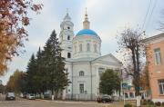 Кафедральный собор Покрова Пресвятой Богородицы