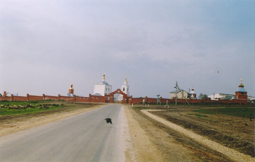 Дмитриево. Димитриевский мужской монастырь. общий вид в ландшафте