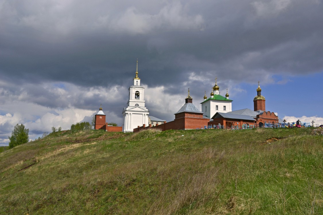 Дмитриево. Димитриевский мужской монастырь. общий вид в ландшафте