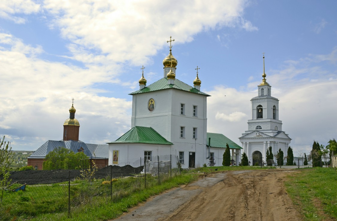 Димитриевский мужской монастырь, Дмитриево (Скопинский район и г. Скопин, Рязанская область). художественные фотографии