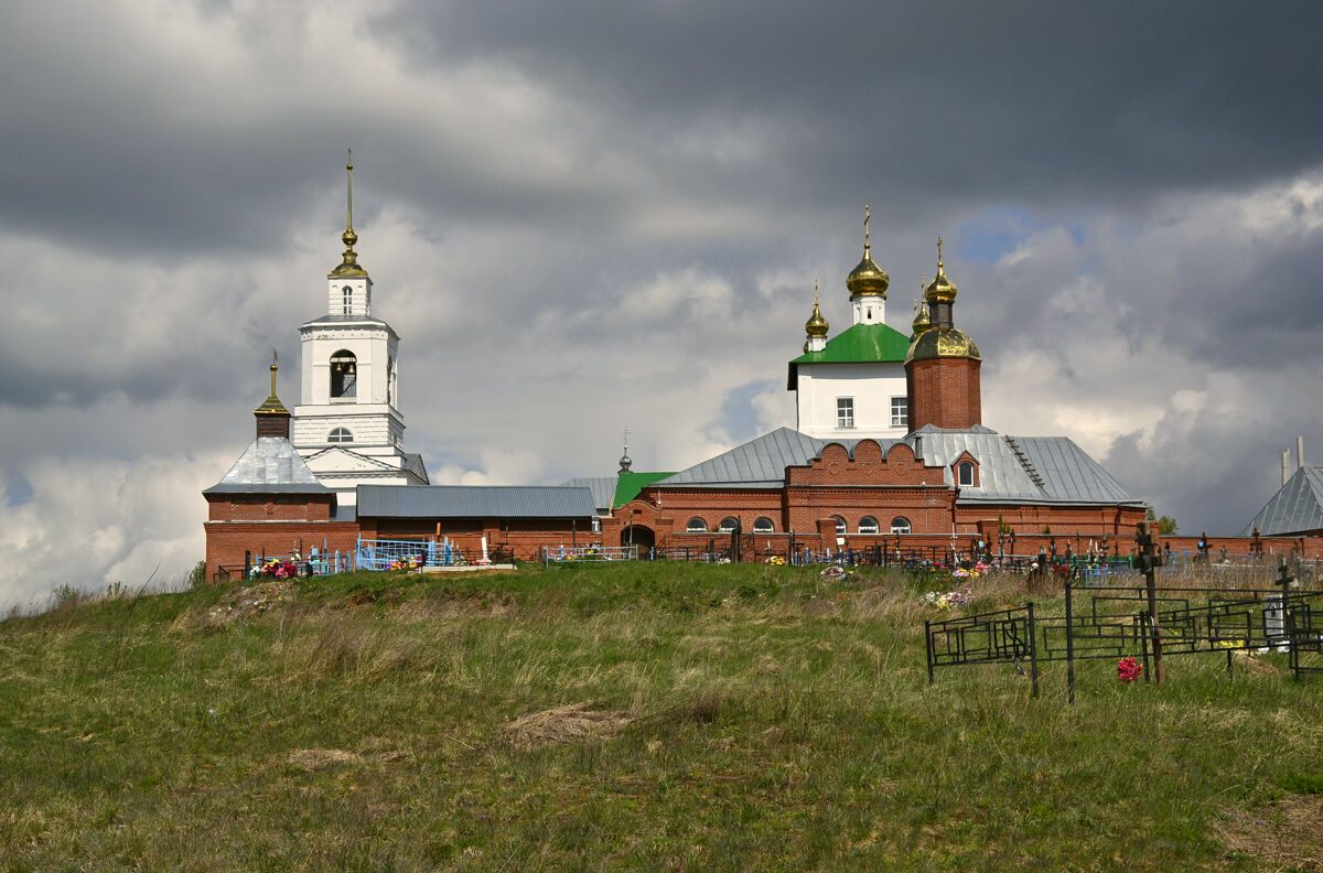 Димитриевский мужской монастырь, Дмитриево (Скопинский район и г. Скопин, Рязанская область). общий вид в ландшафте