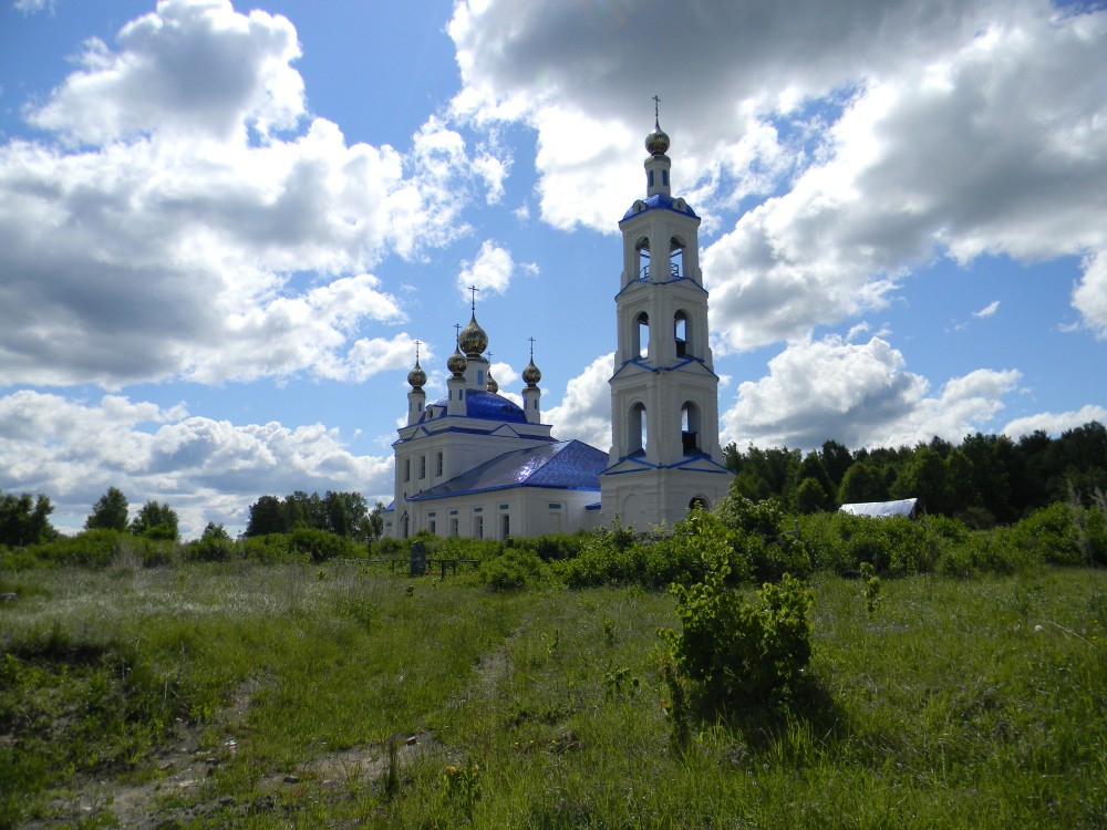 Добрица. Церковь Покрова Пресвятой Богородицы. общий вид в ландшафте