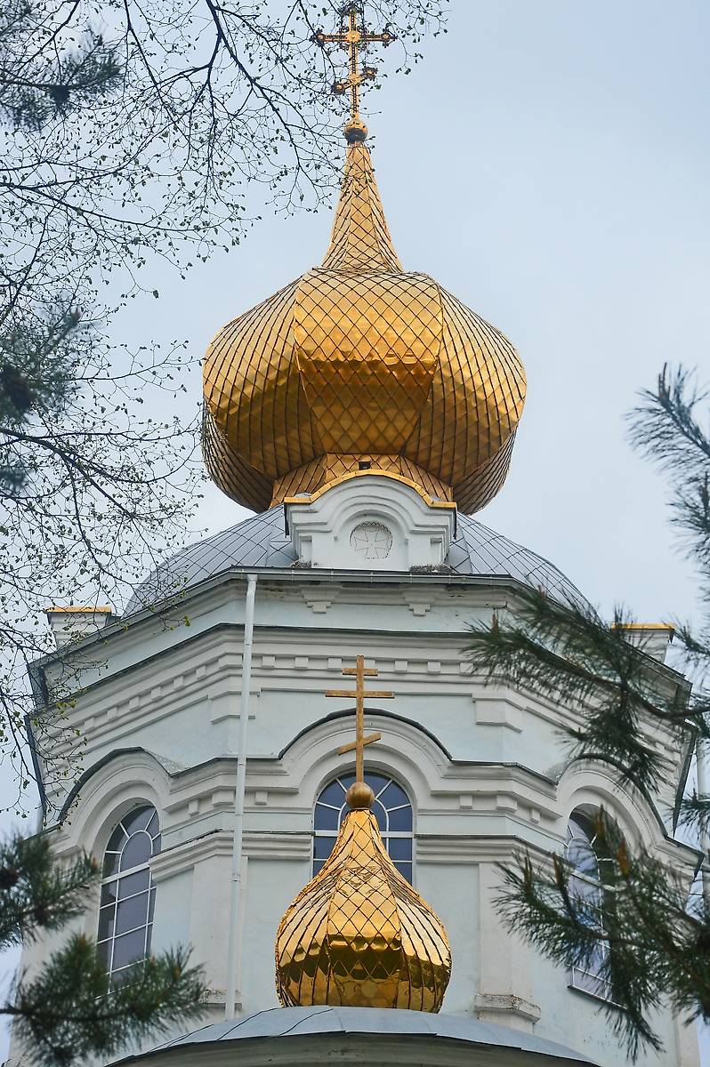 архитектурные детали. Кафедральный собор Успения Пресвятой Богородицы, Боровичи (Боровичский район, Новгородская область)