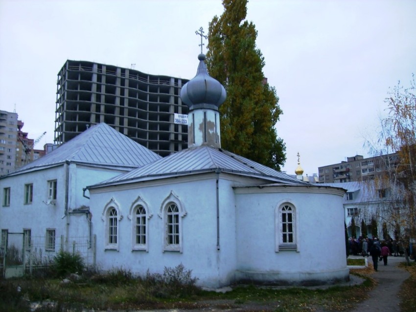Крестильная церковь Иоанна Богослова, Воронеж (Воронеж, город, Воронежская область). общий вид в ландшафте
