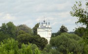 Церковь Покрова Пресвятой Богородицы, , Панино, Сосновский район, Нижегородская область