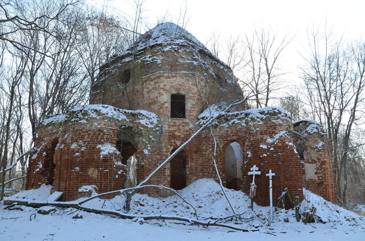 Церковь Троицы Живоначальной, Щучье (Орловский район, Орловская область). фасады, Вид с северо-запада
