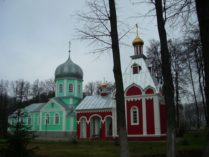 Монастырь Серафима Саровского, Новомакарово (Грибановский район, Воронежская область). общий вид в ландшафте, Слева - храм пр.Серафима Саровского, справа- храм Святых Царственных Мучеников
