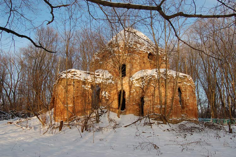 Церковь Троицы Живоначальной, Щучье (Орловский район, Орловская область). фасады