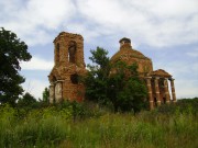 Церковь Николая Чудотворца, , Никольское, Задонский район, Липецкая область