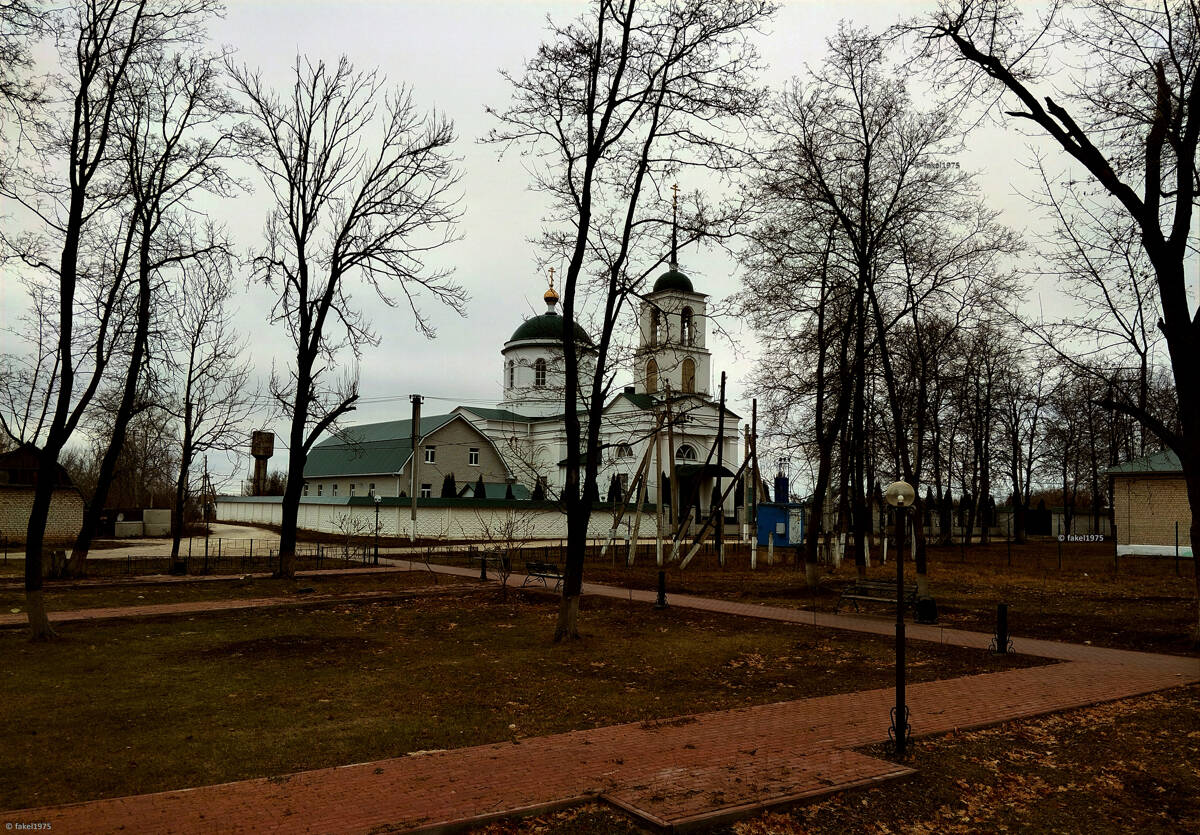 Церковь Спаса Нерукотворного Образа, Трубетчино (Добровский район, Липецкая область). общий вид в ландшафте