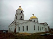 Церковь Богоявления Господня - Донское - Задонский район - Липецкая область