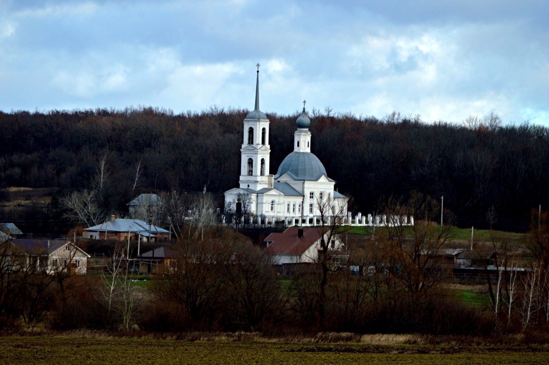 Церковь Димитрия Солунского, Архангельские Борки (Липецкий район, Липецкая область). общий вид в ландшафте, Общий вид на ландшафте