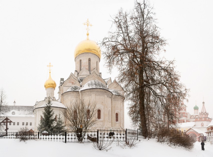 Звенигород. Саввино-Сторожевский монастырь. Собор Рождества Пресвятой Богородицы. фасады