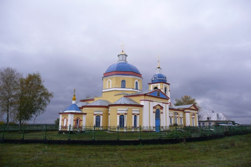 Церковь Рождества Христова, Княжая Байгора (Грязинский район, Липецкая область). общий вид в ландшафте