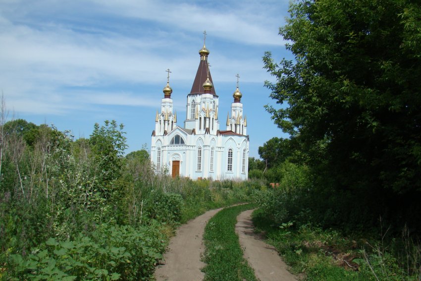 Колодезское (Невежколодезное). Церковь Казанской иконы Божией Матери. общий вид в ландшафте