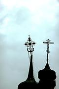 Церковь Сергия Радонежского, Тот самый крест<br>, Липовка, Задонский район, Липецкая область