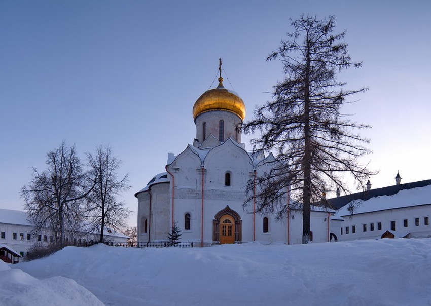 Звенигород. Саввино-Сторожевский монастырь. Собор Рождества Пресвятой Богородицы. общий вид в ландшафте